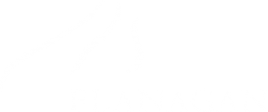Flanagan logo